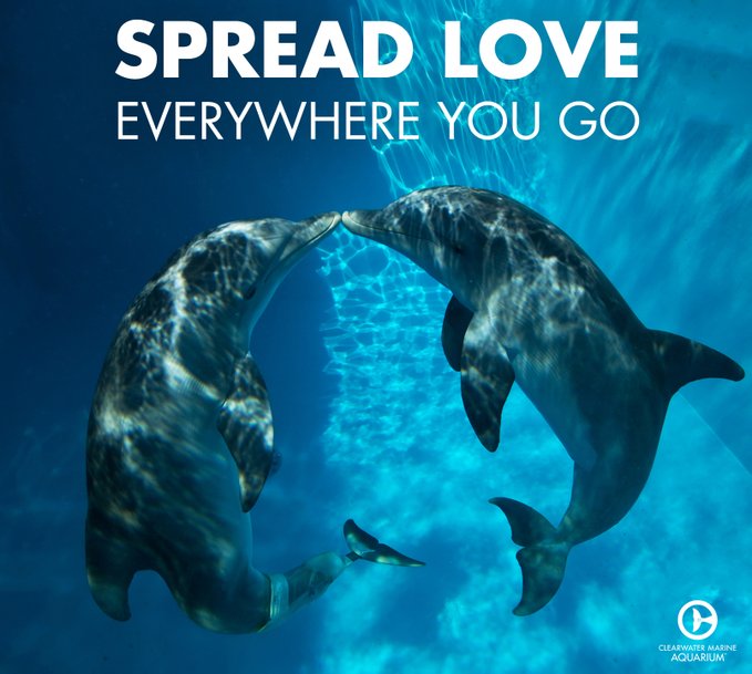 C__Data_Users_DefApps_AppData_INTERNETEXPLORER_Temp_Saved Images_DMRgNHlWkAAywAA.jpg