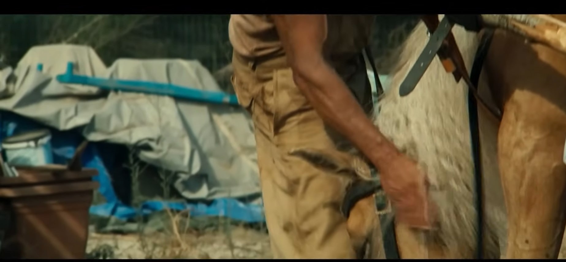 Django undisputed.jpg